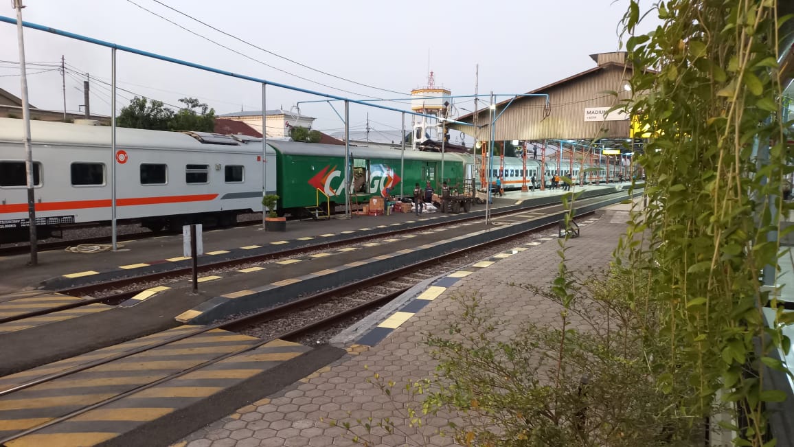 WhatsApp Image 2025-01-15 at 23.28.17_5d0dcf18